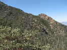 photo thumbnail #8
