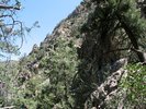 photo thumbnail #14