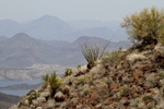 photo thumbnail #3