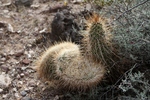 photo thumbnail #5