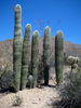 photo thumbnail #10