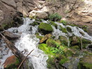 photo thumbnail #2