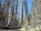 photo thumbnail #5