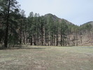 photo thumbnail #3