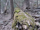 photo thumbnail #5