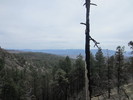 photo thumbnail #6