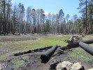photo thumbnail #7