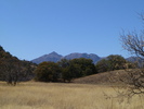 photo thumbnail #6