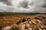 photo thumbnail #13