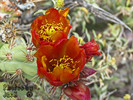 photo thumbnail #10