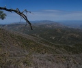 photo thumbnail #14