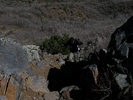 photo thumbnail #15
