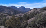 photo thumbnail #8