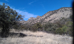 photo thumbnail #10