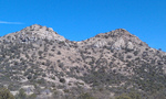 photo thumbnail #12