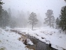 photo thumbnail #8