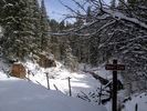 photo thumbnail #13