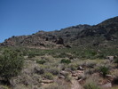 photo thumbnail #13