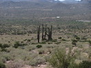 photo thumbnail #15