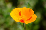 photo thumbnail #15