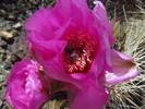 photo thumbnail #7