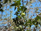 photo thumbnail #13