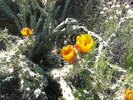 photo thumbnail #4