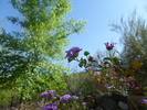 photo thumbnail #4