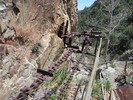 photo thumbnail #10