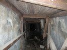 photo thumbnail #14