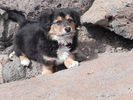photo thumbnail #6