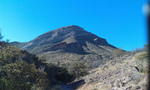 photo thumbnail #8