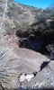 photo thumbnail #10