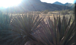 photo thumbnail #13