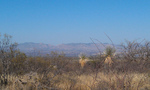 photo thumbnail #14