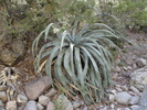 photo thumbnail #3