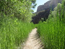 photo thumbnail #3