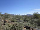 photo thumbnail #8