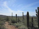 photo thumbnail #9