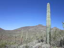 photo thumbnail #10