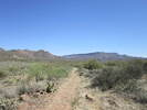 photo thumbnail #11