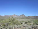 photo thumbnail #12