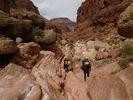 photo thumbnail #12