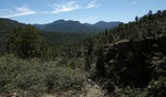 photo thumbnail #2