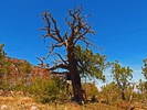 photo thumbnail #14