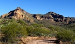 photo thumbnail #2