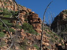 photo thumbnail #3