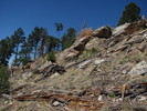 photo thumbnail #12