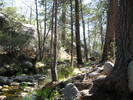 photo thumbnail #13