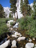 photo thumbnail #13